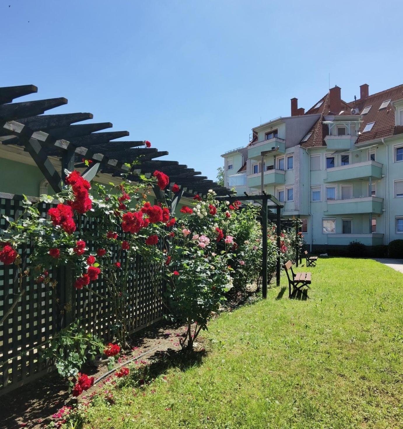 Rose Gold Apartment زالاجيرسيج المظهر الخارجي الصورة